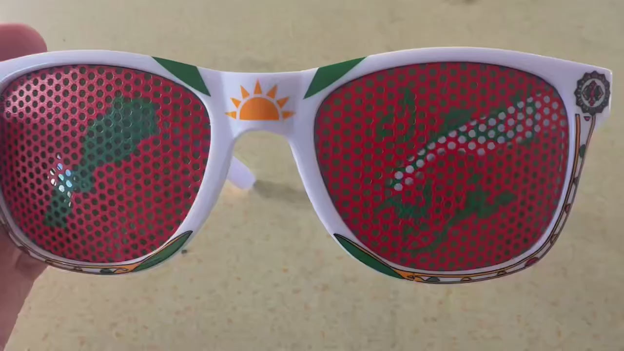 2. Lunettes "Sahara Marocain"