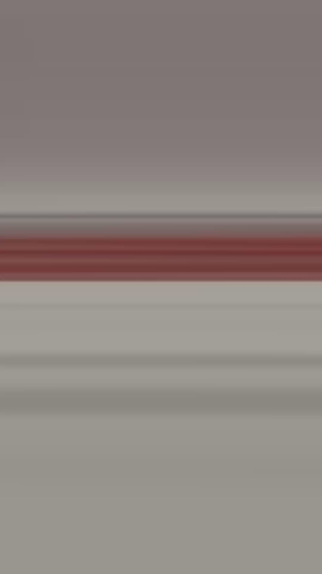 1. Lunettes "Lion de l'Atlas"